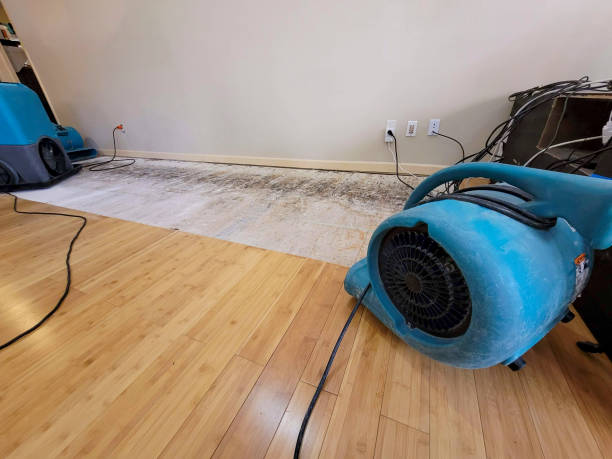 Professional Flood Damage Cleanup technician working in Hawthorne, NV